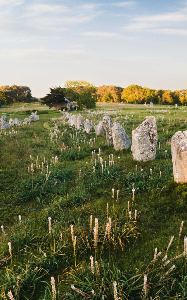 Menhirs de Carnac