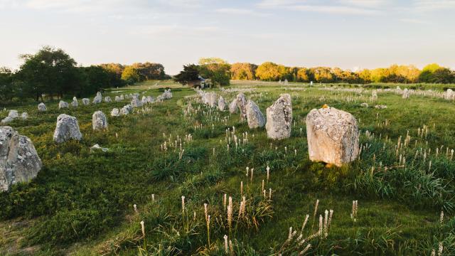 Menhirs de Carnac