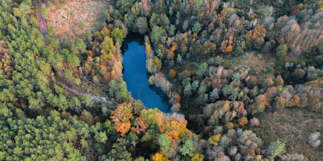 Miroir aux fées, Brocéliande