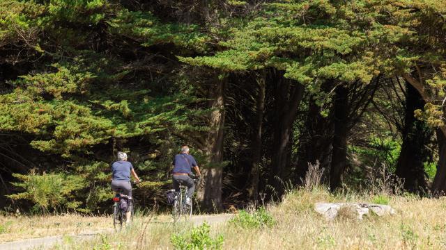 Balade à vélo