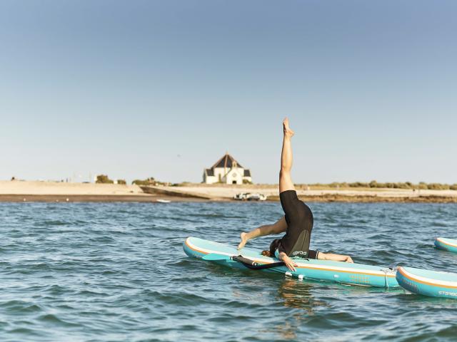 Yoga Paddle, Penvins