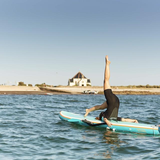 Yoga Paddle, Penvins