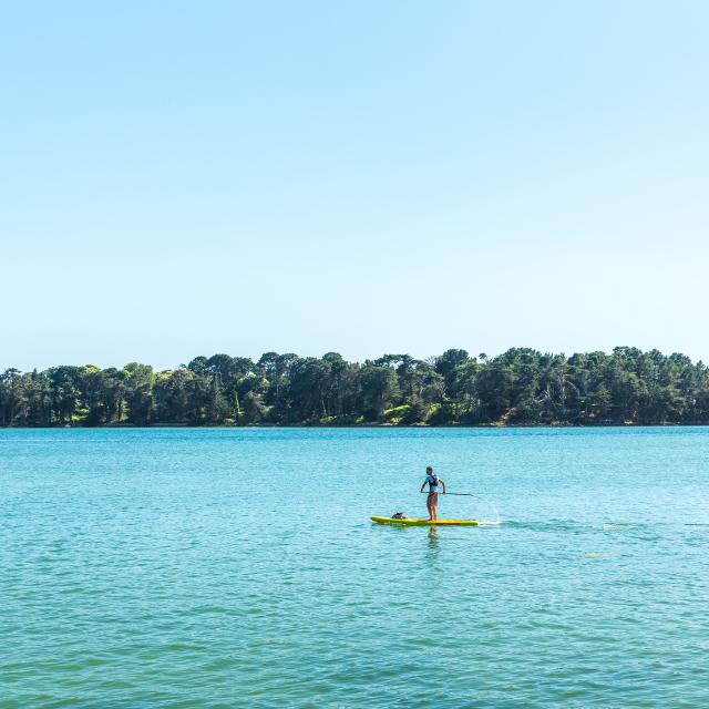 Golfe du Morbihan, paddle