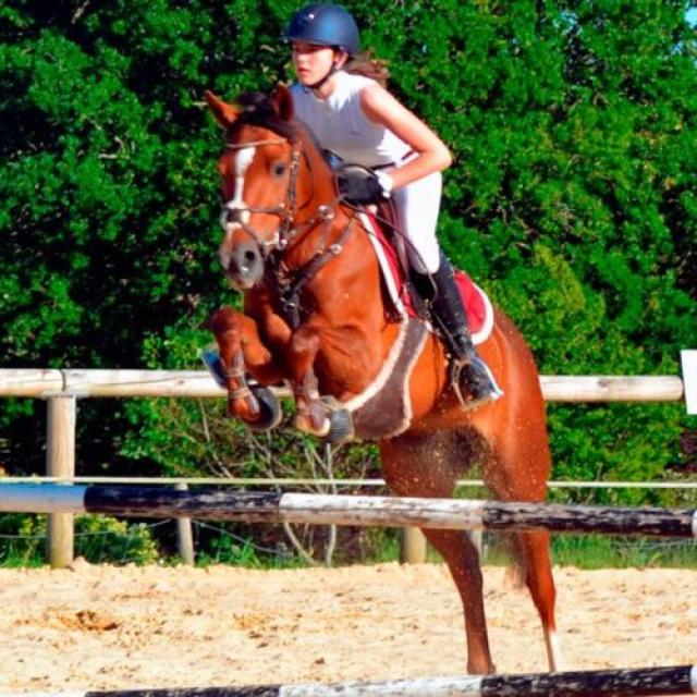 Centre Equestre Mane Guernehue Baden Saut 1295px 800x500 1