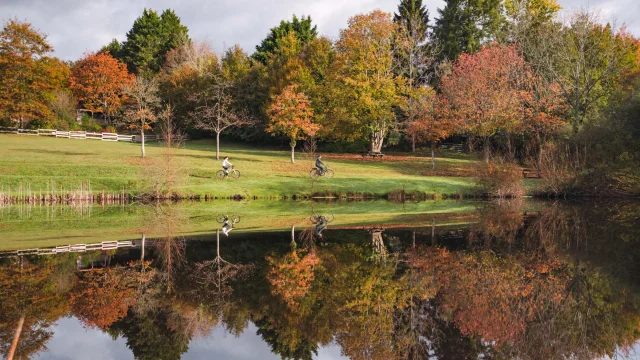 Forêt de Camors