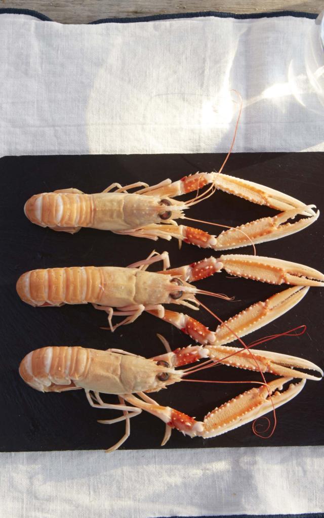 Langoustines, la Perle de Quehan