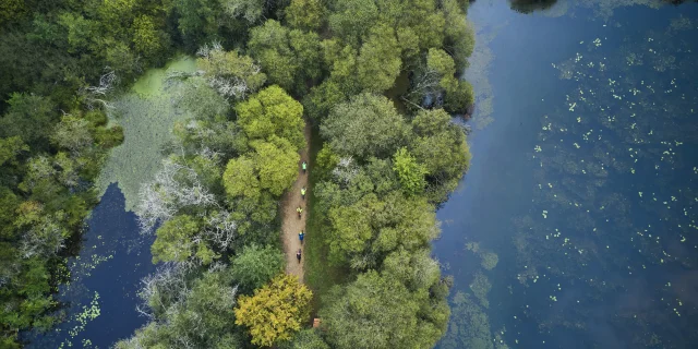 Vélos sur le sentier de randonnée de l'étang de la forêt à Brandivy, Landes de Lanvaux