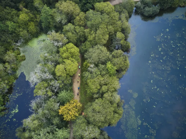 Vélos sur le sentier de randonnée de l'étang de la forêt à Brandivy, Landes de Lanvaux